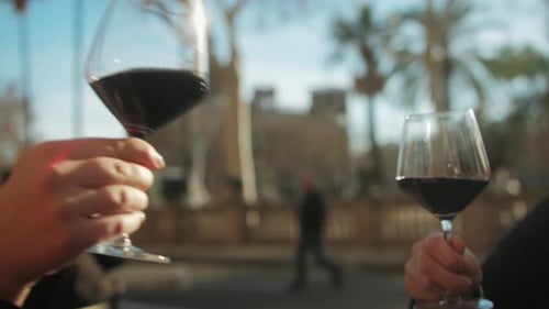 Young Men Having Fun Togethercelebrating and Cheers Drinking Red Wine and Clinking Glasses