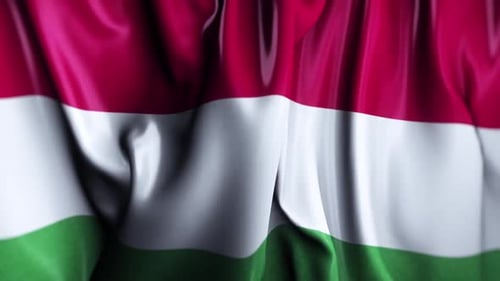 Ungarn schwenkt Flagge