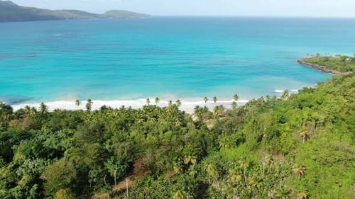 Drone Shoot Of The Tropical Beach In The Caribbean With Palms Trees And Waves