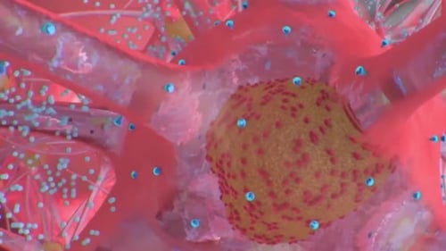 Dynamic 3D Microscopic Cell Interaction Animation