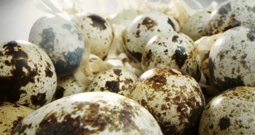 Close Up of Quail Eggs in Basket