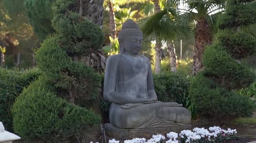 Buddha Statue in Lotus Position at Sunset in Tropical Garden