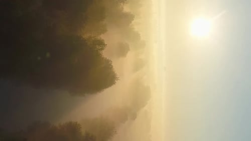 Aerial View of Misty Forest at Sunrise