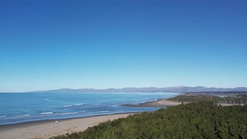 Aerial traverse above pine forest towards beach and river exit on a beautiful winter's day (The Pine