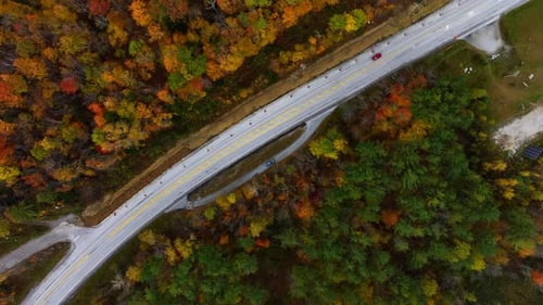 Red car rides by the highway surrounded by the thick woods.