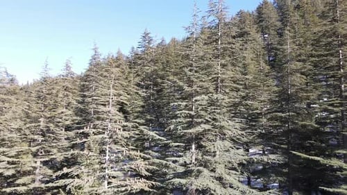 Environnement gelé