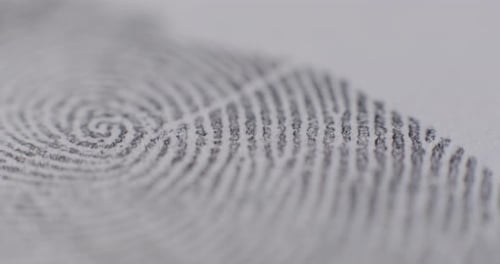 Extreme Nahaufnahme von Fingerabdrücken auf weißem Papier, die in den Fokus und aus dem Fokus geschoben werden
