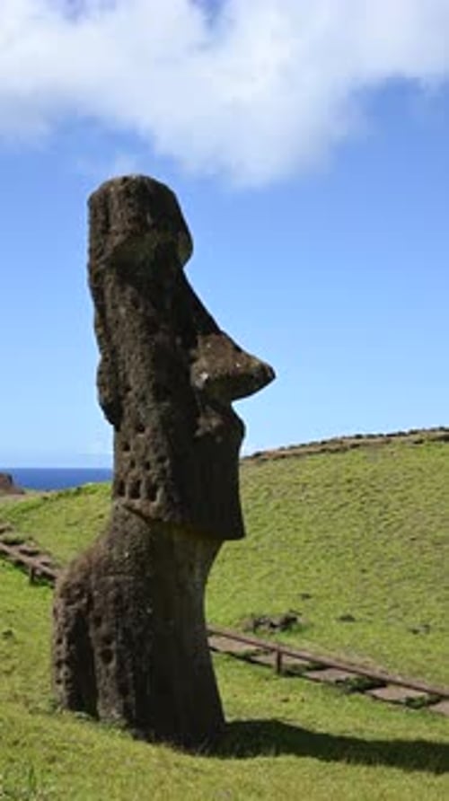 Un seul Moai sur le site archéologique de Rano Raraku. Affichage du profil