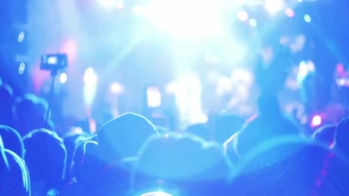 Excited Crowd at a Live Music Concert