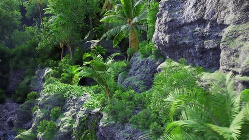 Undisturbed Rocky Niche Bursting with Lush Greenery and Thriving Wildlife