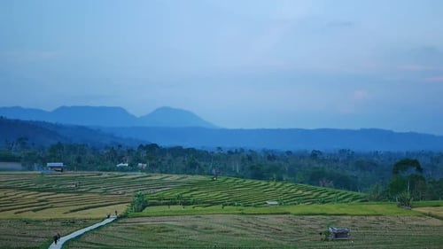 farming in the beautiful and pristine mountains