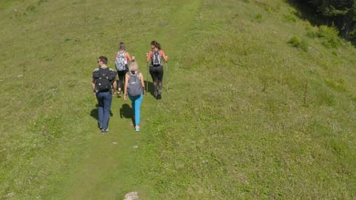 Four friends hiking on green sunny mountain. Adventures travel concept