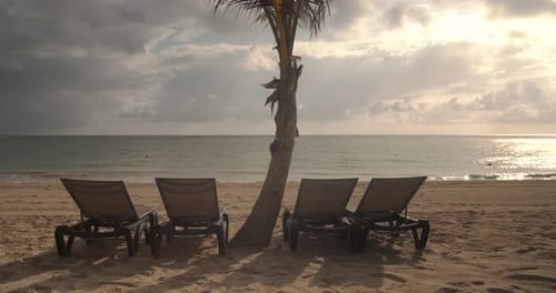 Chairs on Beach with Palm Trees, Sunrise Sunset at Resort Beach