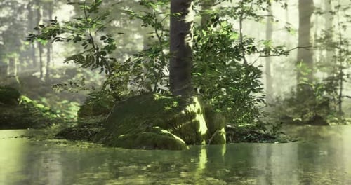 Lush Green Forest Scene Reflecting Tranquility Near a Serene Pond in Daylight