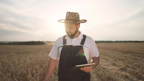 Portrait of Farmer Agronomist Examining Rye Field in Summer Agribusiness Agricultural Technology and