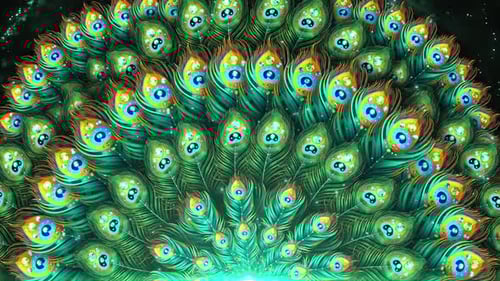 Vibrant Animated Peacock Feathers Decorative Display