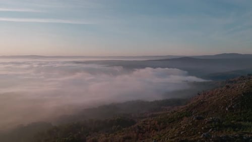 Valley Covered In Mist At Sunrise And Forest In A Mountain Aerial View