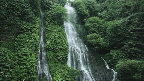 View on Water of Mountain Waterfall Falling in Green Nature of Forest Landscape