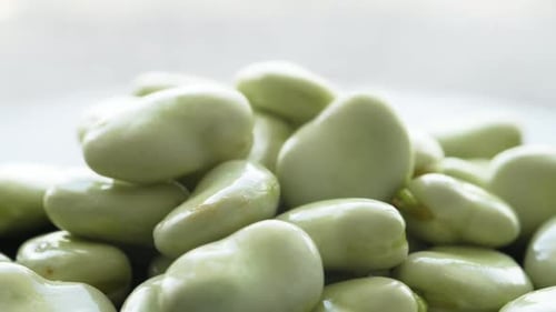 Green Beans Closeup