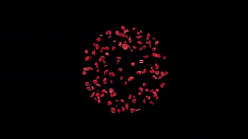 Red Heart Confetti Explosion Reveal