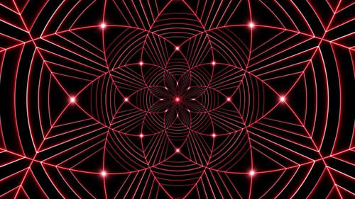 Glowing Red Glowing Lattice Flower Line Art Background Loop