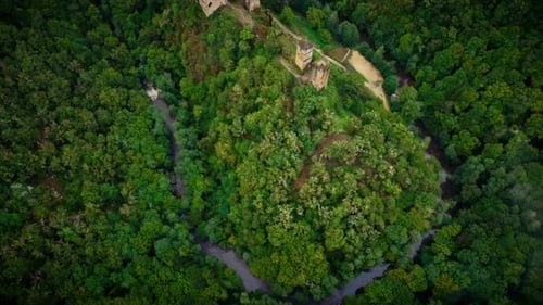 aerial view of an abandoned castle lost in the forest