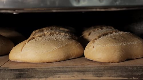 Der Prozess des Backens von duftendem Brot in einem Umluftofen. Herstellung von Brot in einer Brotfabrik.