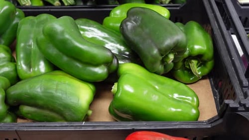 Viele grüne Paprika auf dem Markt in Nahaufnahme