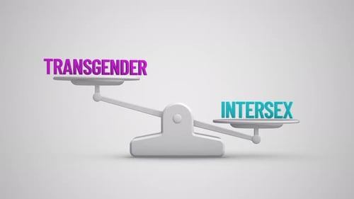 Transgender vs Intersex balance scale looping animation