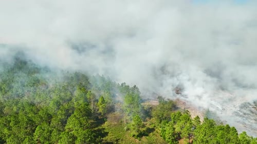 Aerial View of White Smoke From Forest Fire Rising Up Polluting Atmosphere