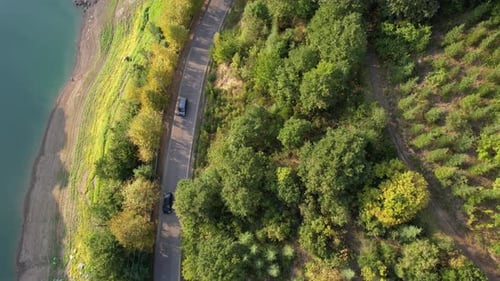 Aerial Forest Road