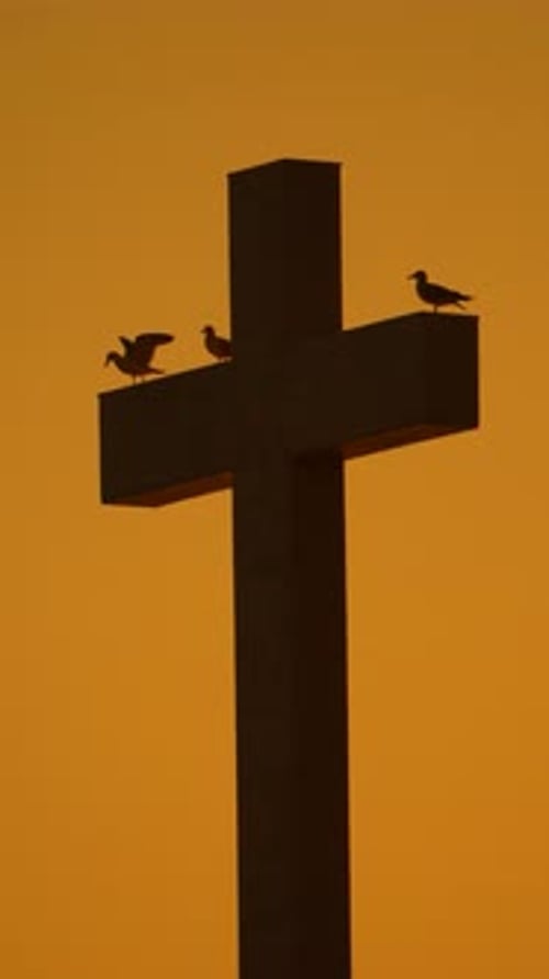 Cross Birds Sunset Birds Perching and Flying on a Large Cross Silhouette Against an Orange Sky