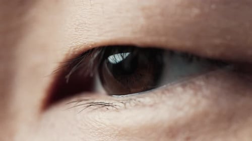 Œil humain avec une belle macro d'iris brun. Open pour hommes Bright Beauty