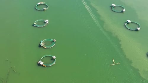Fish Farm with Cages Philippines