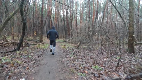 Young Sportsman Running Along Path at Woodland Sporty Runner Jogging Along Trail at Autumn Forest