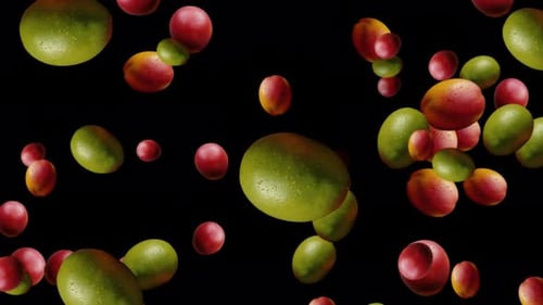 Fresh healthy mango fruits falling on transparent background uses for adds and videos