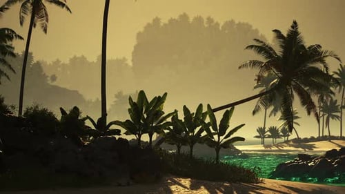 Serene Tropical Beach at Sunset with Palm Trees and Calm Waters