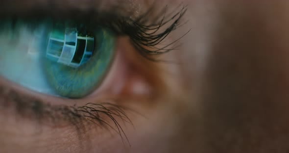 Eye, research and computer monitor light reflection in woman eyeball ...