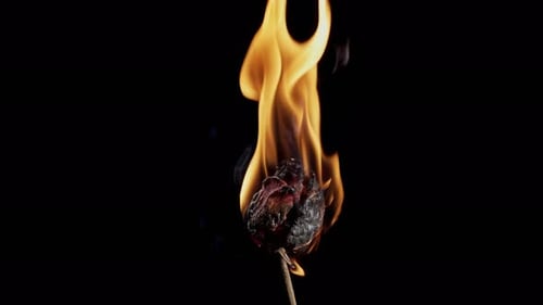 Burning Red Rose Close Up on Black Background