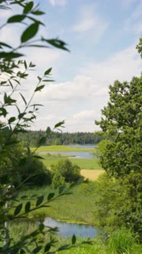 A Picturesque Lake Encircled by Lush Greenery - Wide Shot