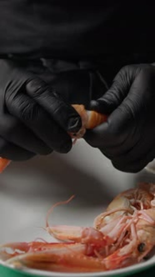 Chef Preparing Fresh Langoustines for Cooking