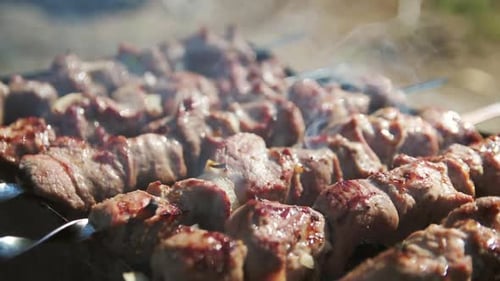 Close Up Smoked Meat Cooking on Barbecue Grill Outdoor. Pork Kebabs Smoking