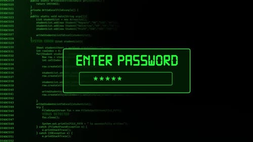 System login of entering password on computer screen with access Granted message on screen