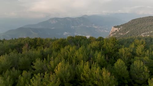 Aerial View of Forest and Mountains