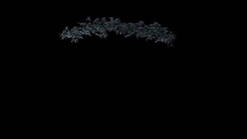 Dynamic Swarm of Realistic Flying Bats Halloween Animation