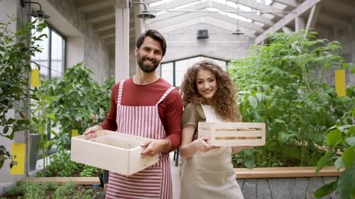 Couple Gardening Together in Greenhouse with Seedling Boxes