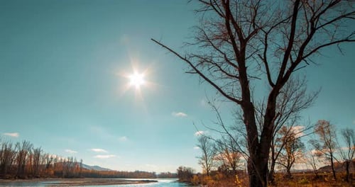Mountain River Timelapse at the Summer or Autumn Day Time Wild Nature Clear Blue Water and Dry Trees