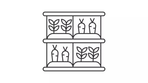 Line Art Animation of Indoor Farming and Growing Vegetables