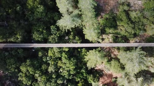 Hängebrücke umgeben von üppig grünem Wald - Luftaufnahme von oben nach unten