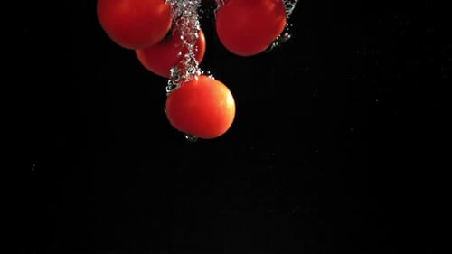 Fresh Tomatoes Falling Under Water on a Black Background Filmed on a Highspeed Camera at 1000 Fps